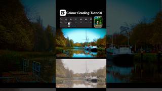 Cinematic ColourGrading Tutorial😍capcuteditcolorgradeeditingcinematicreelscoloureffects [upl. by Aldora]