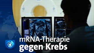 Entwicklung von mRNATherapie gegen Krebs [upl. by Frederigo595]