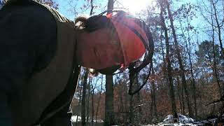 Hand winching over a back leaning poplar snag [upl. by Mir]