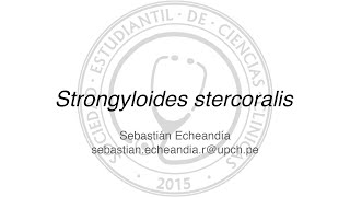 Strongyloides stercoralis [upl. by Eimmelc]