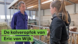 De kalveropfok van Eric van Wijk  BoerENverstand [upl. by Eleonora180]