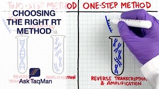 What is the Right RT Method for Your Experiment Ask TaqMan 37 [upl. by Ymma]