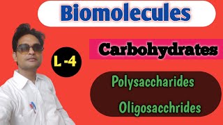 Carbohydrates  polysaccharides  Biomolecules ch9 [upl. by Shippee]