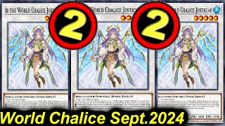 【EDOPRO】WORLD CHALICE DECK POST TCG BANLIST SEPT2024 [upl. by Faux35]