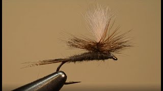 Fly Fishers International Silver Award Fly Tying Parachute Adams [upl. by Meldon838]