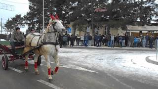 boboteaza independenta 2 2015 [upl. by Pang926]