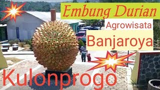 Embung DURIAN  Agrowisata Banjaroya Kalibawang Kulonprogo Mase1111 [upl. by Obediah]