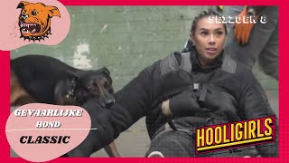 Hooligirls S08E05 Hond [upl. by Tav949]