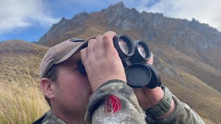 Chasing Rutting Bulls  Tahr Rut 2023 [upl. by Artinahs562]