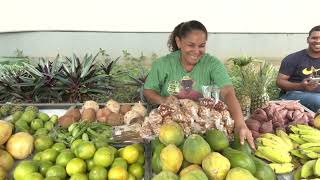 Feira da agricultura familiar movimenta a economia local [upl. by Templa]