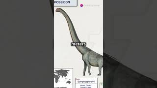 Sauroposeidon The North American Sauropod science shorts facts dinosaur oklahoma 🇺🇸 [upl. by Nahrut]