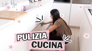 Cosa uso per pulire la cucina  I miei prodotti TOP [upl. by Christiano912]