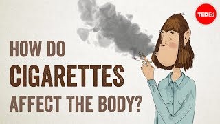 How do cigarettes affect the body  Krishna Sudhir [upl. by Gnouhp889]