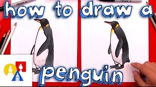 How To Draw A Realistic Emperor Penguin [upl. by Yancey706]