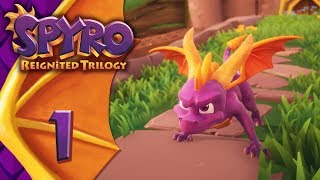 Spyro Reignited Trilogy ITA Parte 1  Il Ritorno [upl. by Iegres]