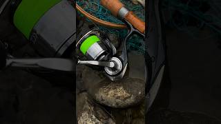 Обрыбил новую форелевую удочку SMITH Real Flex TRF53🔥 streamfishing smithrealflex troutfishing [upl. by Hephzibah]