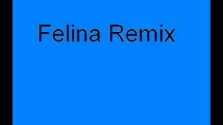 Felina Remix  Ivy﻿ Queen Hector y Tito Wisin y Yandel [upl. by Nollahp]