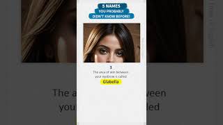 Learn 5 Names You Have Never Heard of before  English Vocabulary Builder [upl. by Amak]