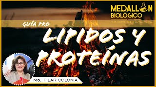 LIPIDOS Y PROTEINASCLASES PRO [upl. by Ydiarf]