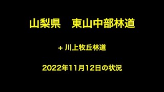 山梨県 東山中部林道 2022年11月12日の状況 [upl. by Aihseyn]