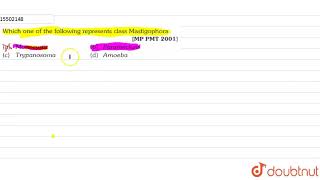 Which one of the following representes class Mastigophora [upl. by Sathrum168]