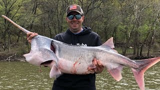 Monster Fish in Oklahoma Snagging Paddlefish with TMcDs Guide Service [upl. by Flight308]