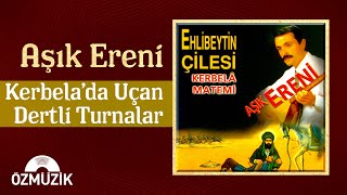 Aşık Ereni  Kerbelada Uçan Dertli Turnalar Official Audio [upl. by Aissatsan]