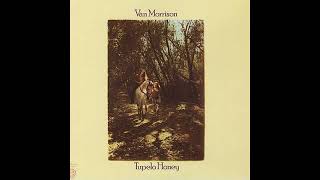 Van Morrison  Tupelo Honey 1971 Part 2 Full Album [upl. by Yras]