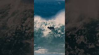 CHAOS AT SNAPPER ROCKS [upl. by Lowrie]