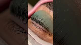 Lash Magic Revealed  Lash Lift Technique lashlift [upl. by Pelag949]