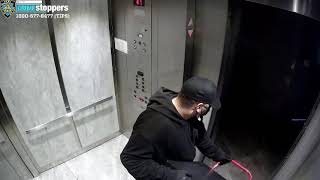 2 burglars caught on camera stealing safe from Queens building [upl. by Spiegel32]