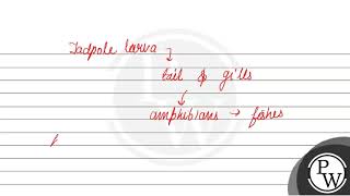 Ontogeny recapitulates phylogeny Explain [upl. by Aja]