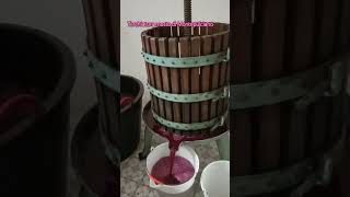 Torchiatura mosto di Montepulciano dAbruzzo 🍇🍷 [upl. by Anerak968]