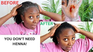 Get Rid Of Grey Hairs in 10 Minutes  NovaHair Instant Dye Shampoo Review [upl. by Yelich]