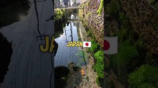 Japans Amazing Clean Waterways [upl. by Theodore]