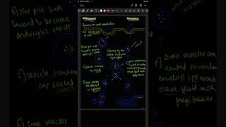 Endocytosis and exocytosis flow chartneet2025 endocytosis plasmamembranemusic song youtube [upl. by Zacarias]