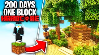 I Survived 200 Days on One Block Skyblock [upl. by Shadow872]