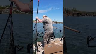 Catching A Catfish On The Drag In Large Cove shorts [upl. by Johnath]