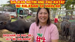 BALIKAN NATIN ANG PAGKATAY NG KALABAW SA MARILAO  BASEHAN SA PAGBILI ULIT NG KALABAW  SOLLES G [upl. by Ikey]