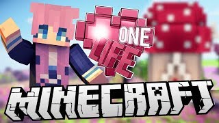 Home Makeover  Ep 4  Minecraft One Life 20 [upl. by Lamb682]