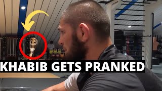 Khabib Nurmagomedov And His Team Gets Pranked By A Snake [upl. by Ahsena549]