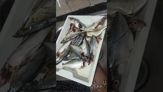 How to clean mackerel fish easily bangda machli machlikokaisacleankare shorts shots shortvideo [upl. by Yellehs483]