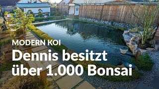 Dennis 36000 Liter Koiteich im Japangarten mit coolen Eigenzuchten  Modern Koi Blog 6449 [upl. by Oettam895]