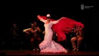 FESTIVAL DE FLAMENCO DE JEREZ [upl. by Faden89]