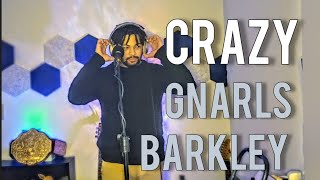 Crazy Gnarls Barkley  Cover [upl. by Enisamoht8]