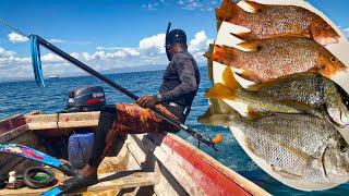 Spearfishing Catch Clean amp Cook  HogFish For Dinner [upl. by Assetnoc]