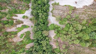 Les Alpes Mancelles balade dans un espace naturel exceptionnel [upl. by Gwendolin400]