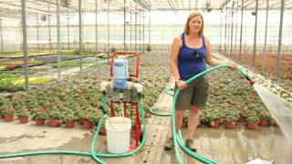 Using Beneficial Nematodes to Manage Pests in Greenhouses [upl. by Duffie]