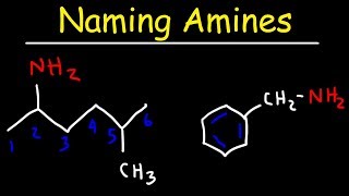 Naming Amines  IUPAC Nomenclature amp Common Names [upl. by Yatnod]