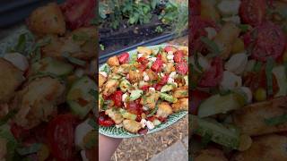 Panzanella gardenharvest gardening gardeninginspiration gardentotable [upl. by Buyse]